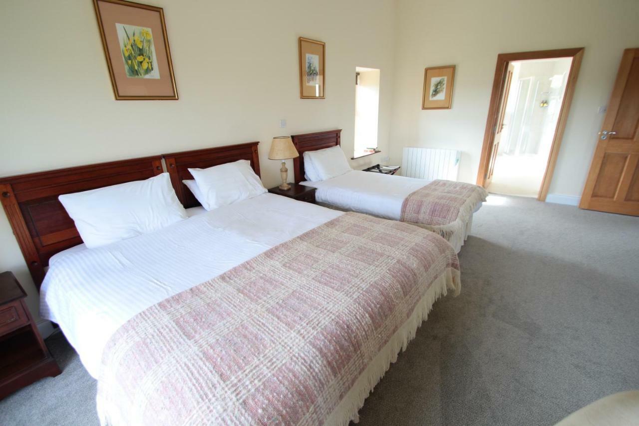 Island View Luxury Apartment Clifden Extérieur photo